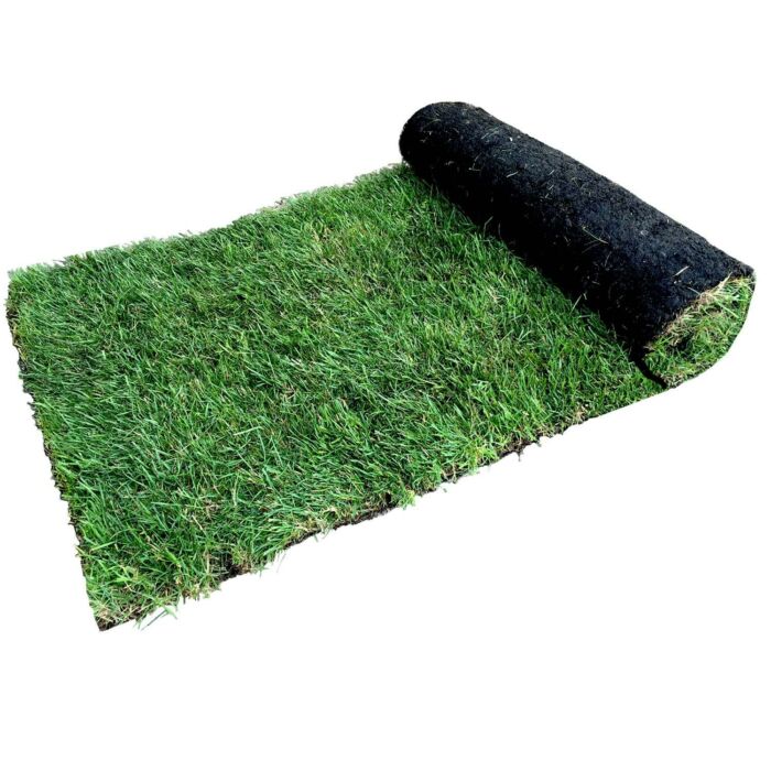 Budget Turf