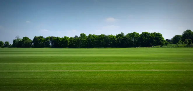 Turfgrass Growers Association