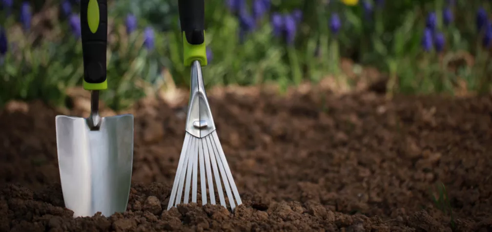 Laying turf in spring