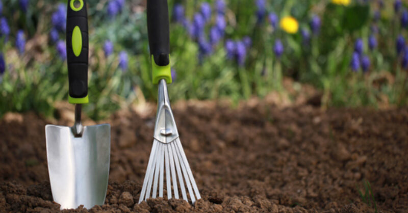 Laying turf in autumn