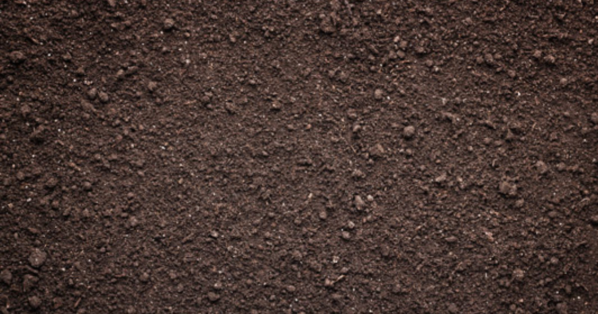 Benefits of natural turf