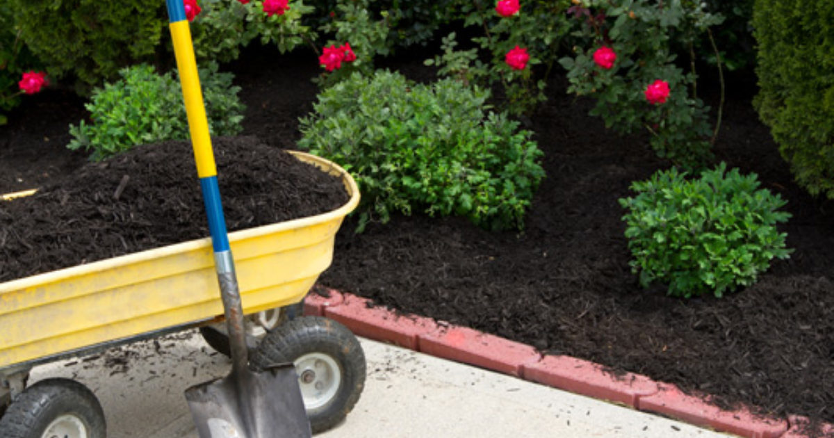 Online Turf Voucher Codes and Coupons