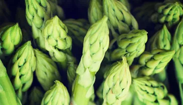 Hot water weed killer