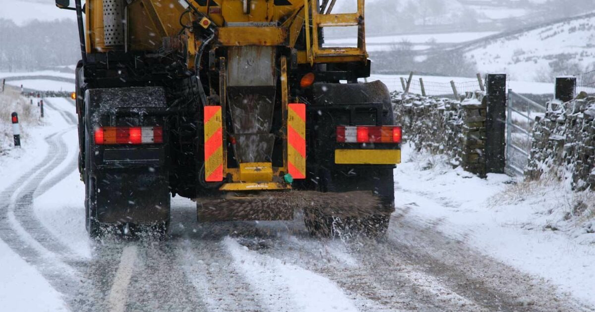 Rye gold turf benefits