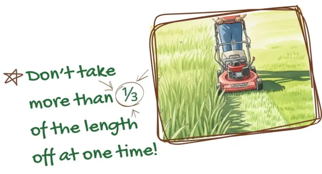 Mowing length