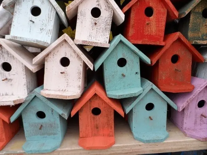 Bird house