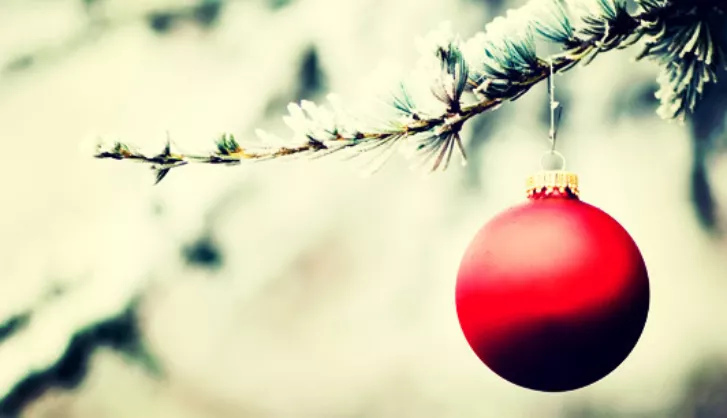 Using boiling water as natural herbicide