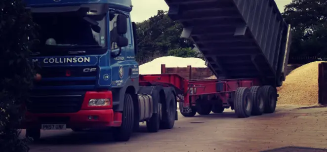 Gardener sowing grass seed