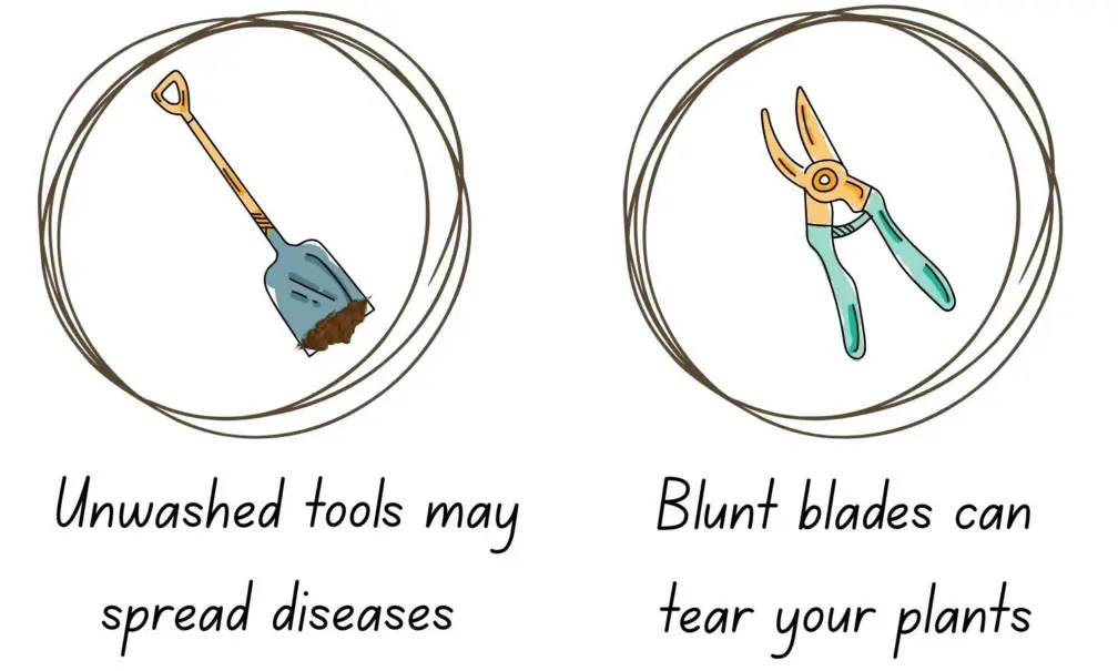 Top tips for gardening in spring