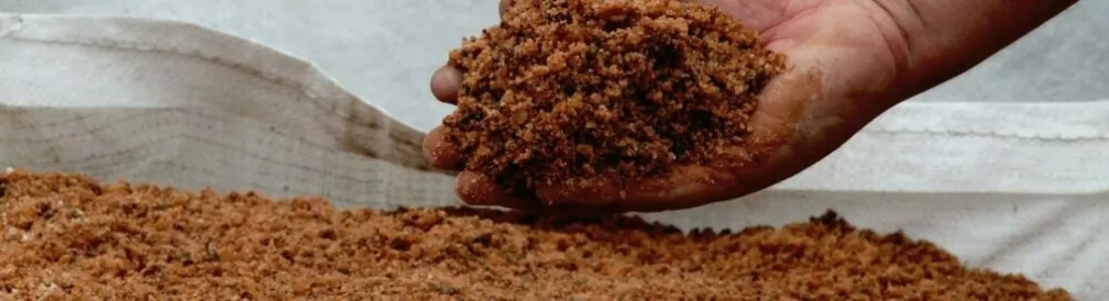 Polystone and fibreglass planters