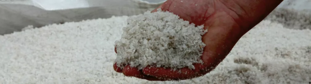 Multi purpose compost