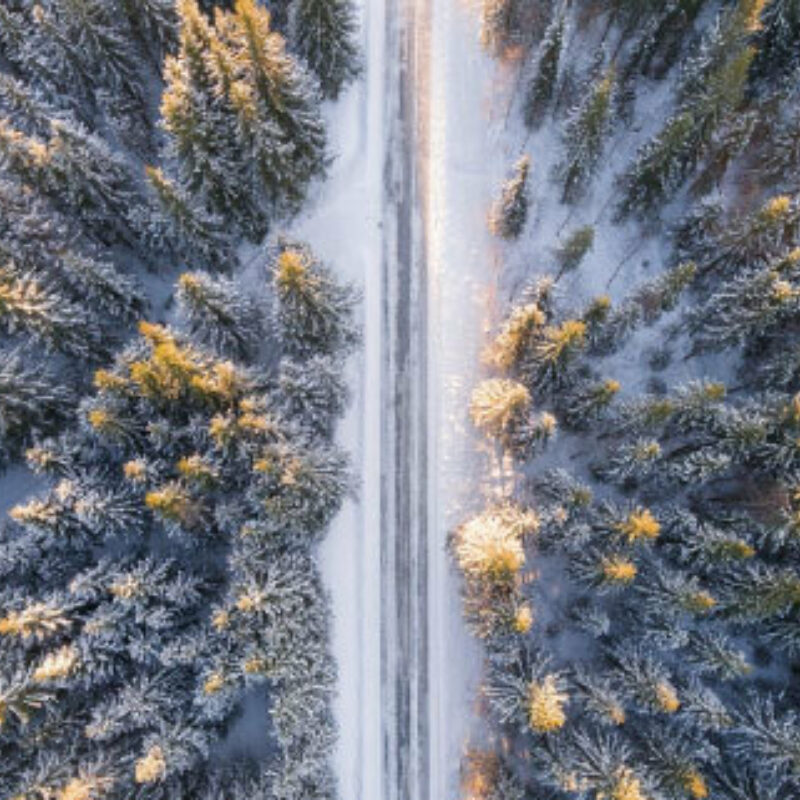 Turf plugger vs bulb planter