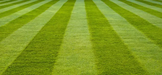 Creating Stripes On Your Lawn