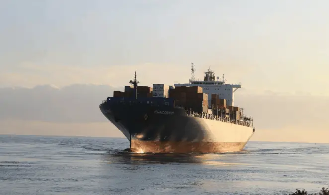 Waterlogged lawn developing bare patches