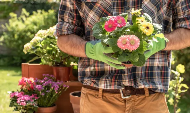 Benefits Of Gardening