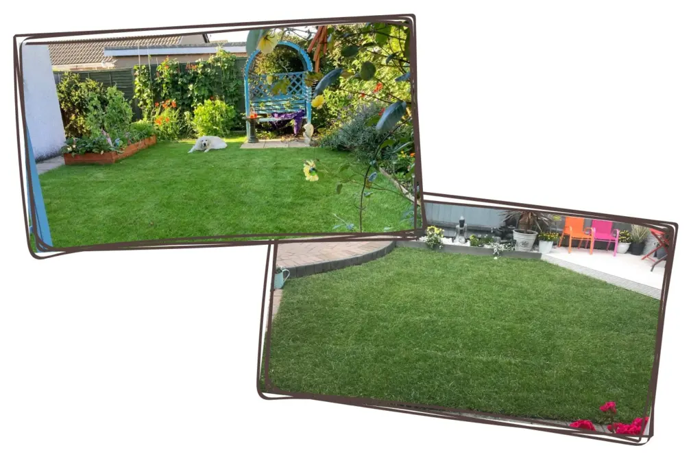 Customer feedback turf