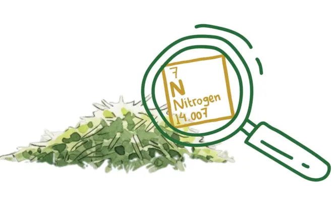 Grass clippings nitrogen