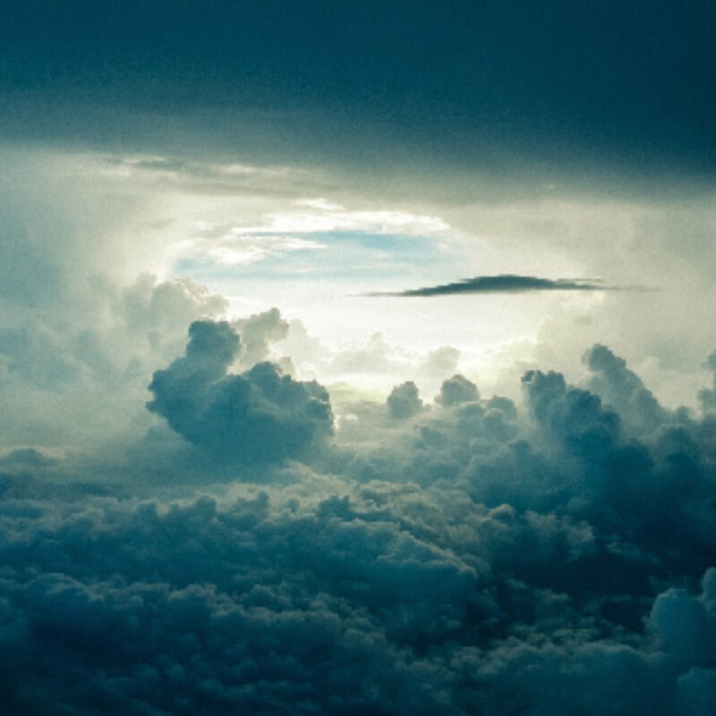 Eggshell pest deterrent