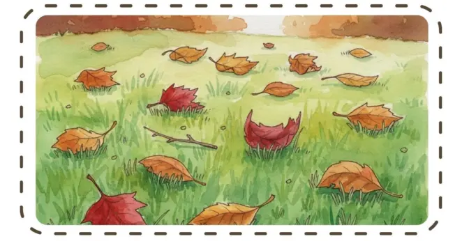 Leaves on the lawn