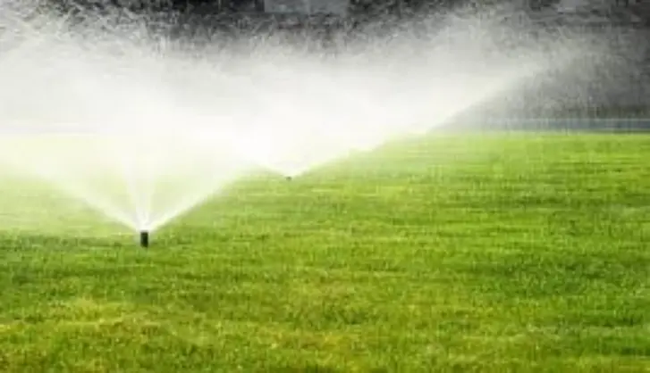 Online Turf Vouchers and Discount Codes