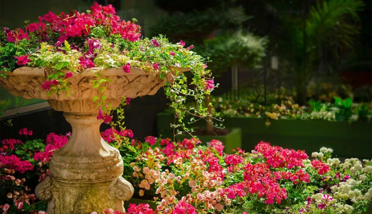 Garden with a water feature