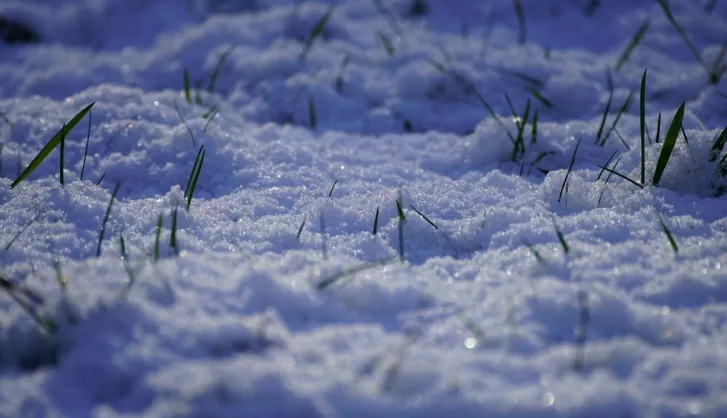 Top 5 winter lawn care tips