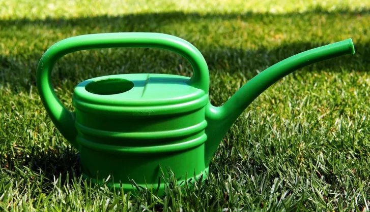 Watering lawn in spring