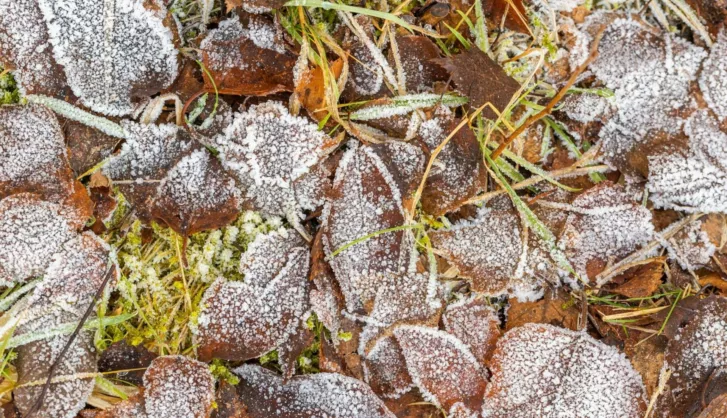 Maintaining compost bins over winter