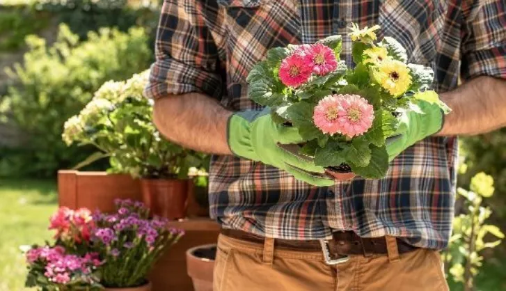 Benefits Of Gardening Thumb