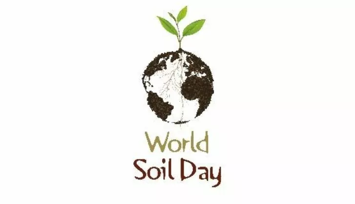 Soil Day Logo