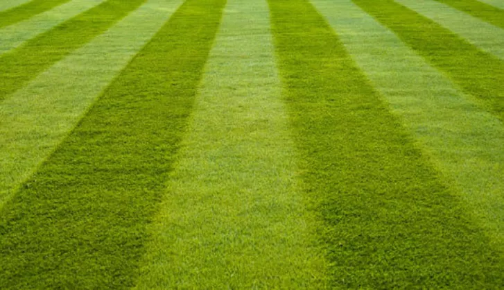 Stripy Lawn