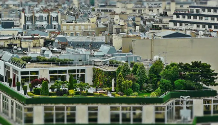 Creating a Balcony or Roof Terrace Garden