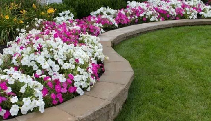 Care For Turf Whilst On Your Holiday