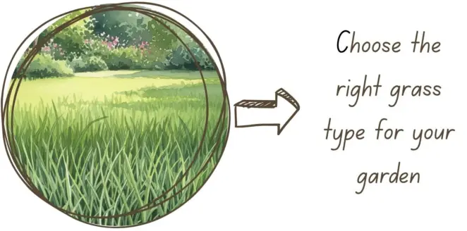 Choosing the right grass type